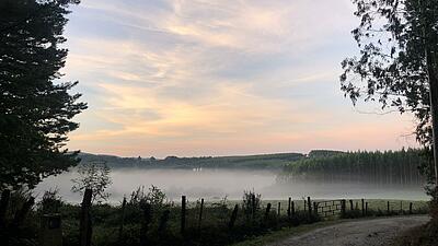 Dusky sunrise over field on the Camino Group Pilgrimage Vigo-Santiago de Compostela