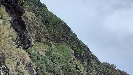 Basalt cliffs on Pitcairn's rugged coast near Tedside Quai
