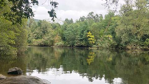 Forest lake on the Way of St. James Portugal